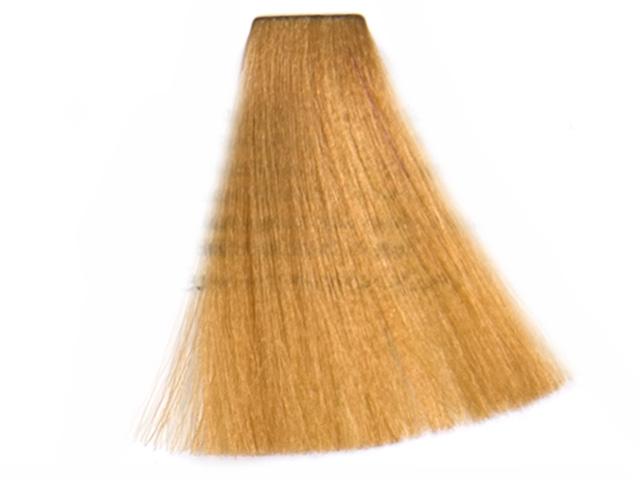 8,04 Light Natural Copper Blonde