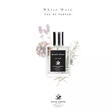 Muschio Bianco