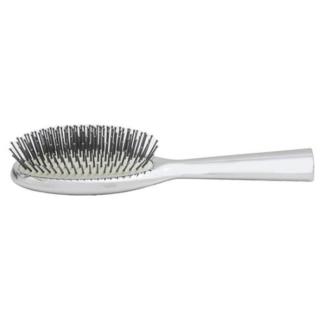 Luxury Silver Brush