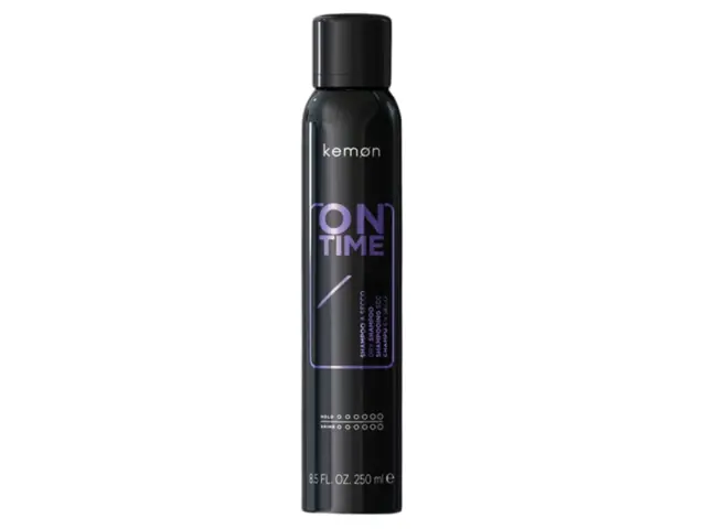 On Time Dry Shampoo