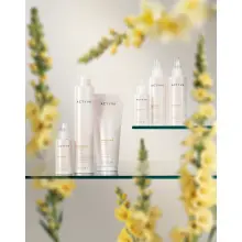 Bellessere Oil
