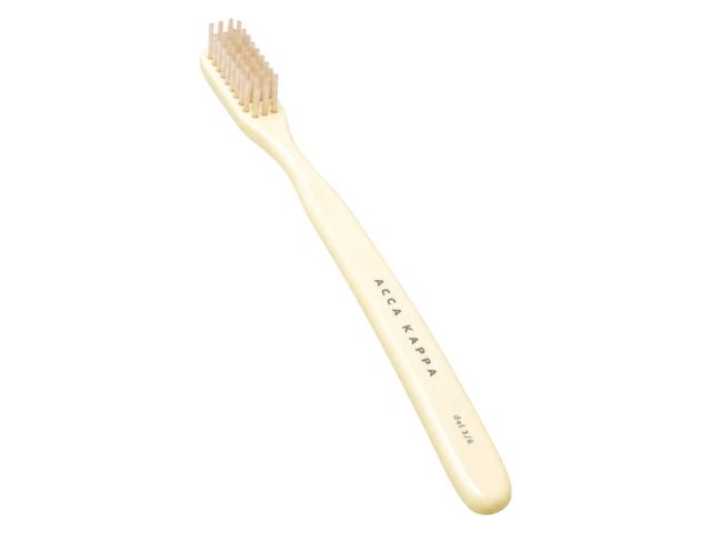Toothbrush Hard