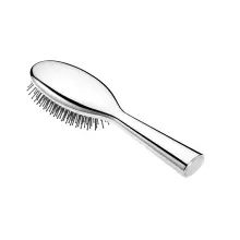 Luxury Silver Brush