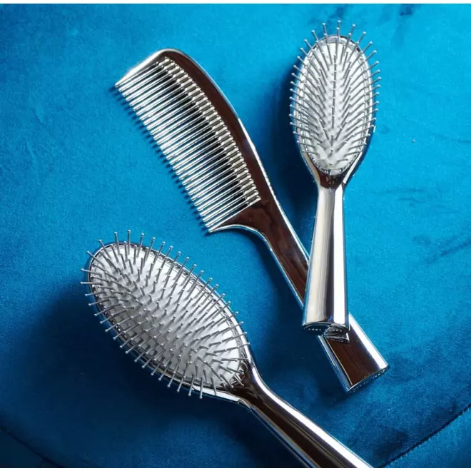 Luxury Silver Brush