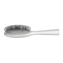 Luxury Silver Brush