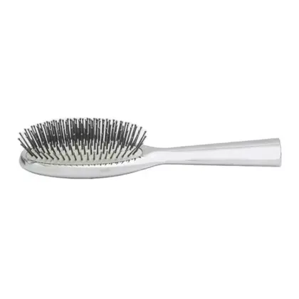 Luxury Silver Brush
