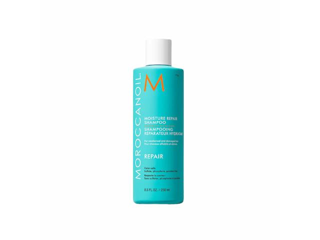 Repair Shampoo