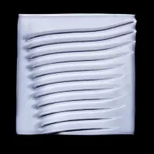 Anti Pelliculaire Dandruff šampon
