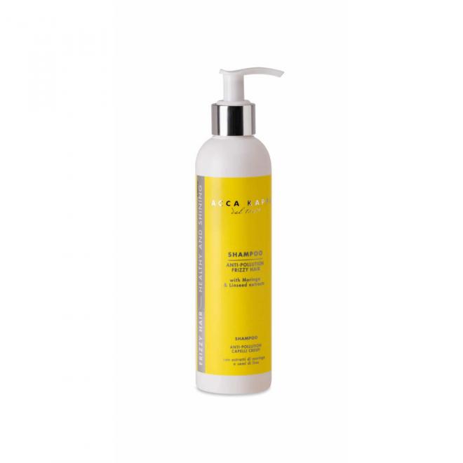 Anti-Pollution Shampoo For Frizzy Hair