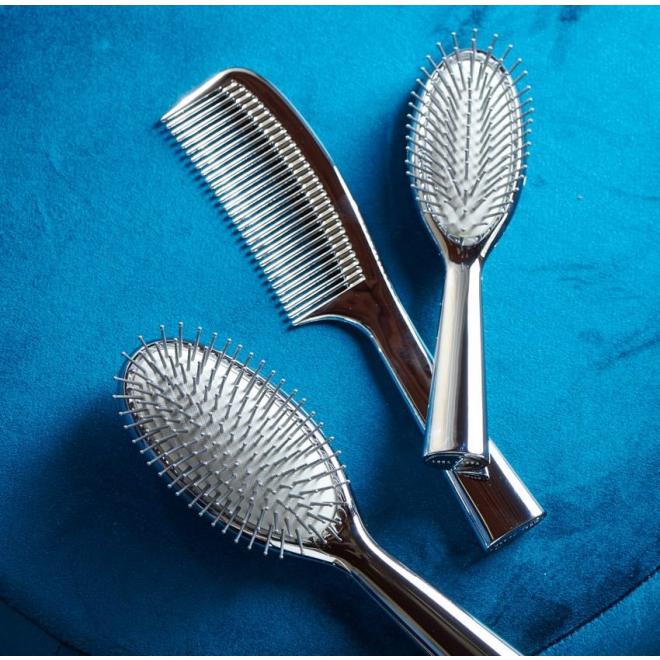 Luxury Silver Brush