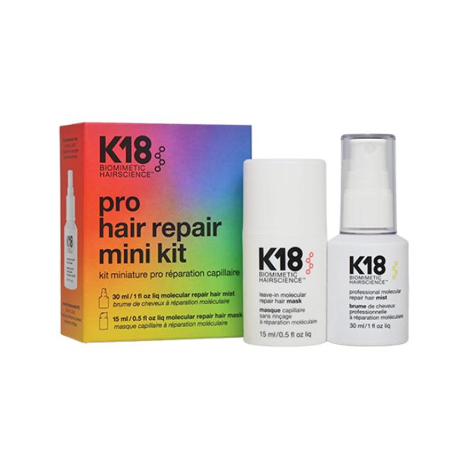 Pro Hair Repair Mini Kit