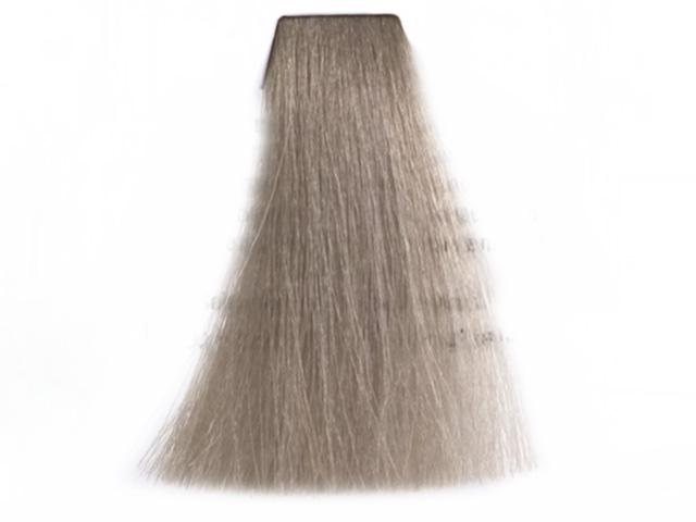 10,1 Very Light Ash Platinum Blonde